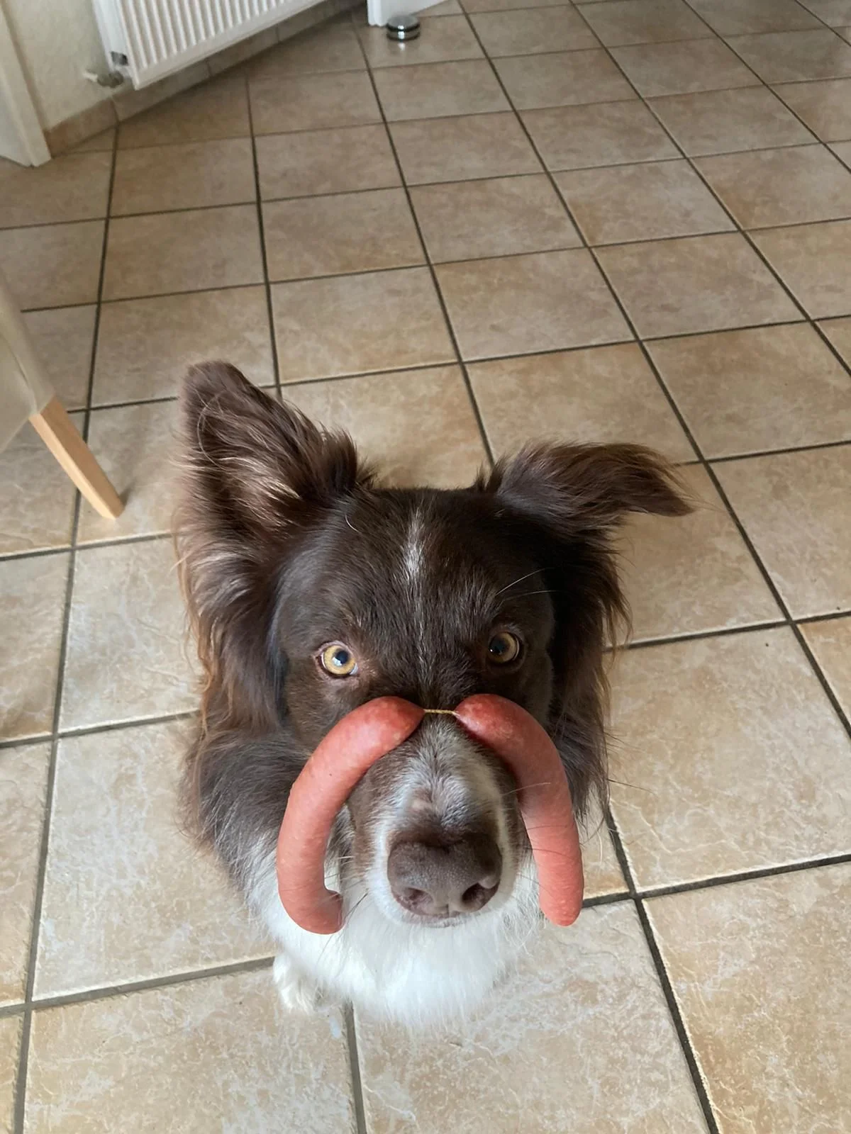Wurst über der Nase