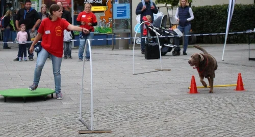 Auszug aus drei in eins Auszug aus drei in eins